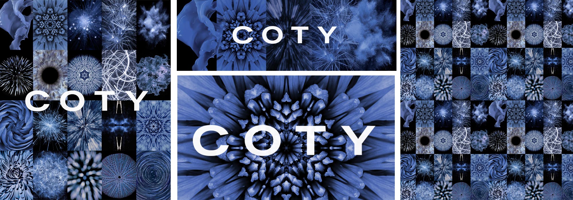 Coty branding and design by MPAKT